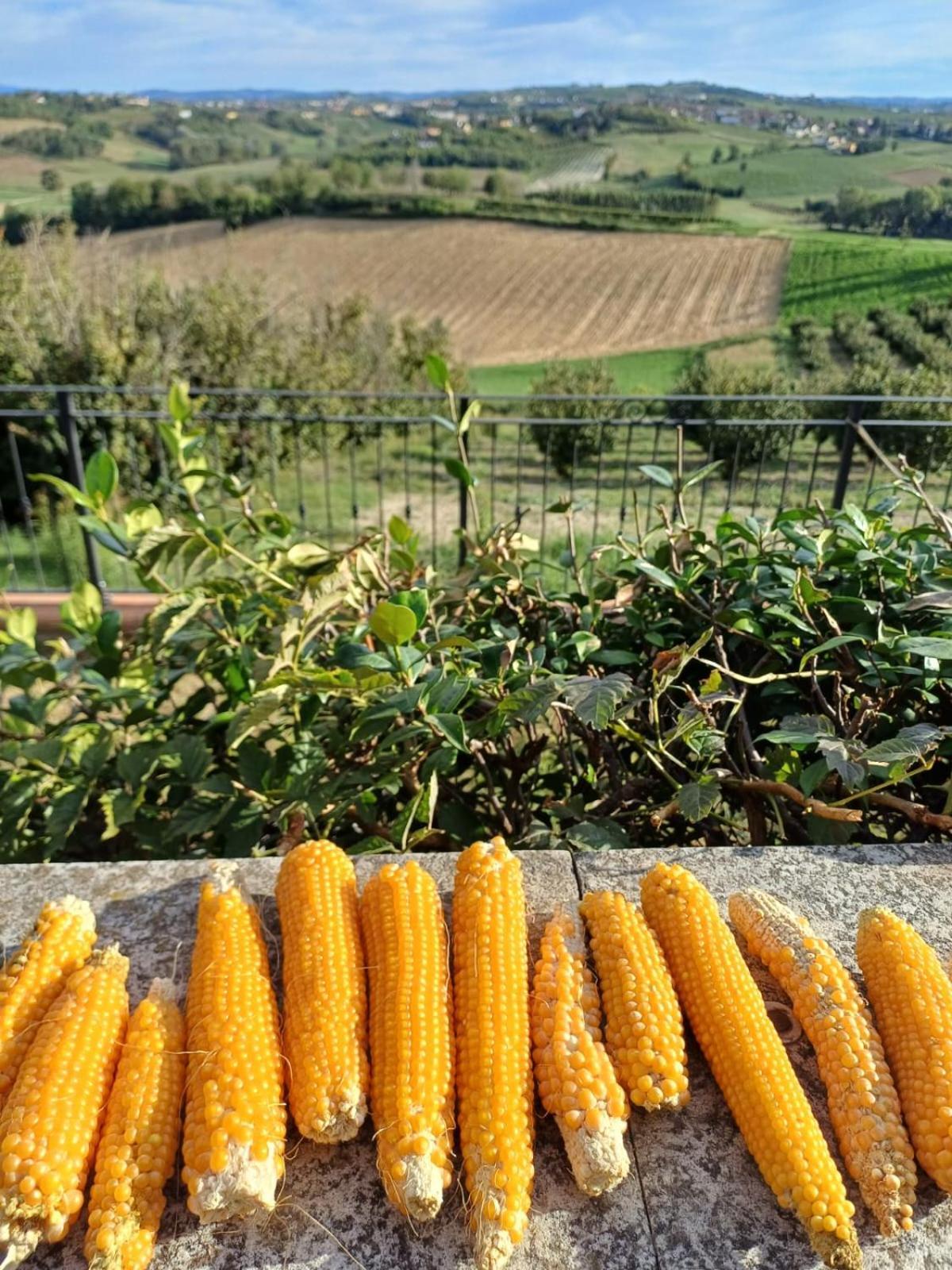 San Rocco Di Villa Di Isola D'Asti Eksteriør billede